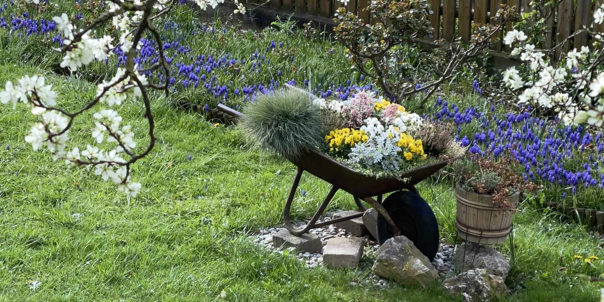 Ein Garten mit blühenden Bäumen, bunten Blumen und einer Schubkarre voller Frühlingsblumen, ideal für Schweigemeditation im Freien.