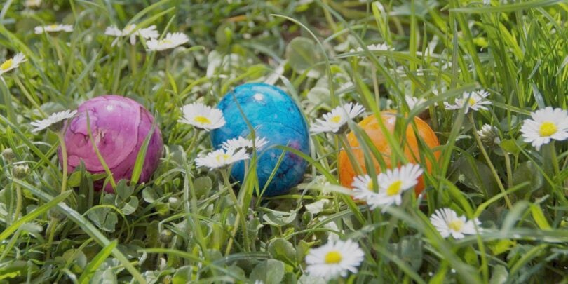 Bunte Ostereier liegen im grünen Gras mit kleinen weißen Gänseblümchen, symbolisieren Frühling und Ostern.